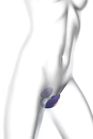 Double Stimulator "Wonderlover" violet