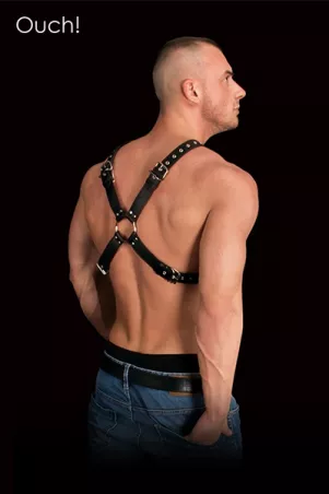 Harness Adonis