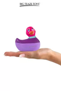 Mini canard vibrant Colors rose 2