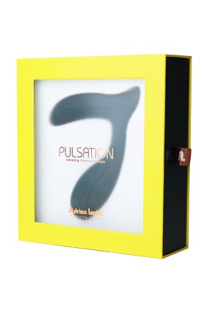 Connected prostate stimulator Pulsation - Adrien Lastic