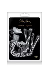 Breast clamps and silver chain 2