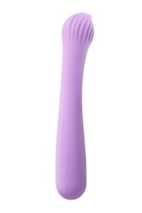 Fairygasm Passionmania Vibrator violett elegant