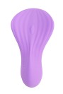 Stimulateur clitoridien Fairygasm SilkenTouch violet