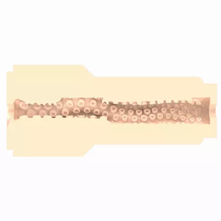 Fleshlight Fantasy Sasha Nakamoto – profil complet de la gaine