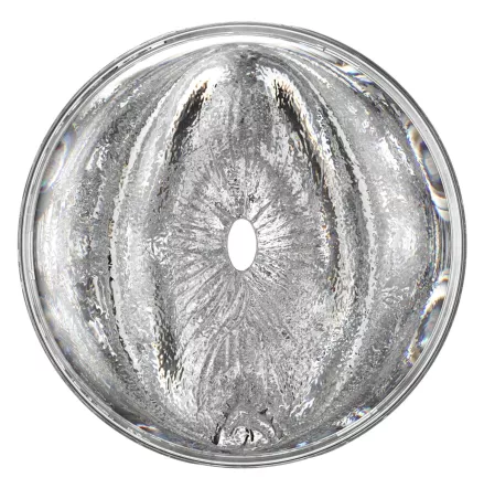 Fleshlight Quickshot Stoya – Zoom sull’ingresso anale