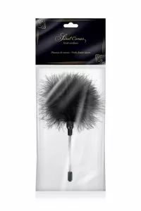 Schwarze Pflege Pflaumen 2