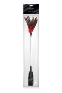 Rote und schwarze Federklatsche 2