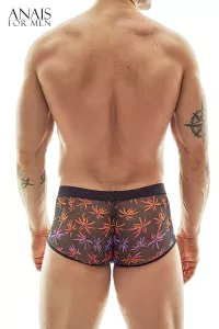 Boxer Chill 2