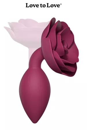 Plug Open Roses M