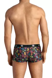 Boxer Mexico 2