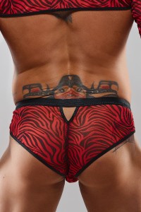 Intimo maschile  - Regnes Fetish Planet - Slip  brasiliano - tentations.ch- Sexshop 2