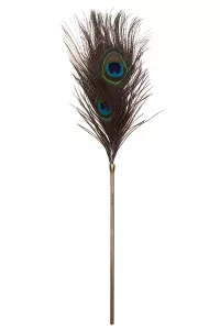Plumeau with caresses Peacock Tickler 2