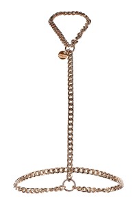 BDSM Statement harness 2